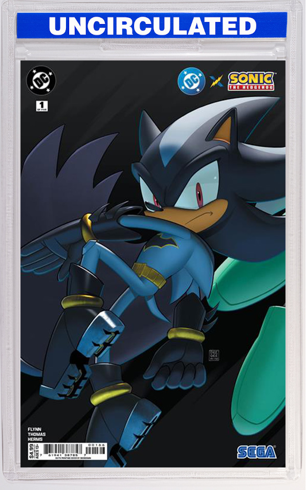 DC X Sonic The Hedgehog #1 Deegeemin Connecting Variant (6th Printing)