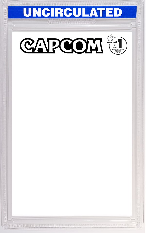 2025 Street Fighter & Friends Swimsuit Special #1 (One Shot) CVR D Blank Sketch VAR
