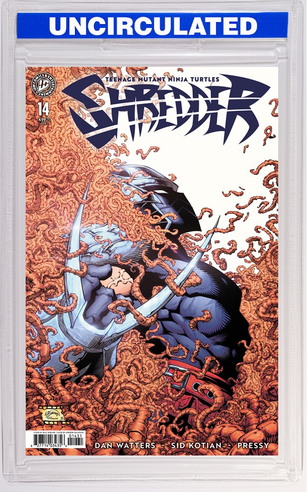 Teenage Mutant Ninja Turtles: Shredder #14 Variant C (Robson)