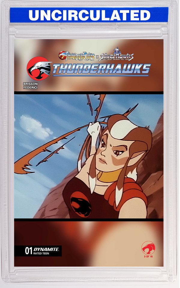 Thundercats X Silverhawks Thunderhawks #1 CVR E Animation Art VAR