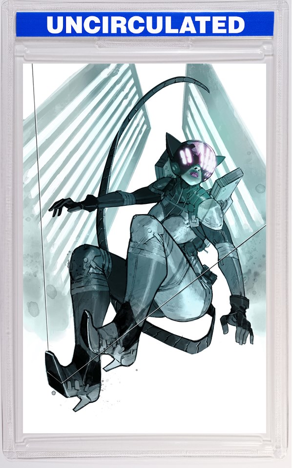 Absolute Catwoman #2 (Of 6) CVR E INC Eric Canete Card Stock VAR