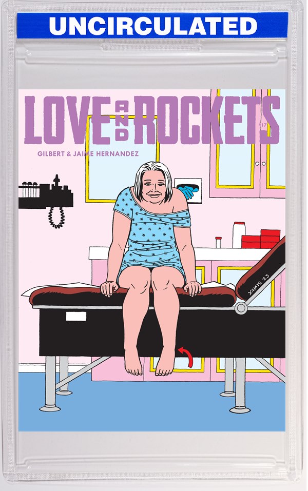 Love And Rockets Vol IV #17 (MR)