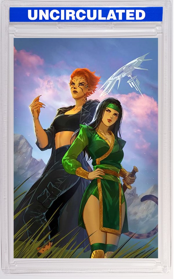 Cheetah And Cheshire Rob The Justice League #1 (Of 6) CVR C Lesley Leirix Li Card Stock VAR