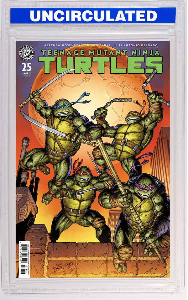 Teenage Mutant Ninja Turtles #25 Variant D (Bagley)