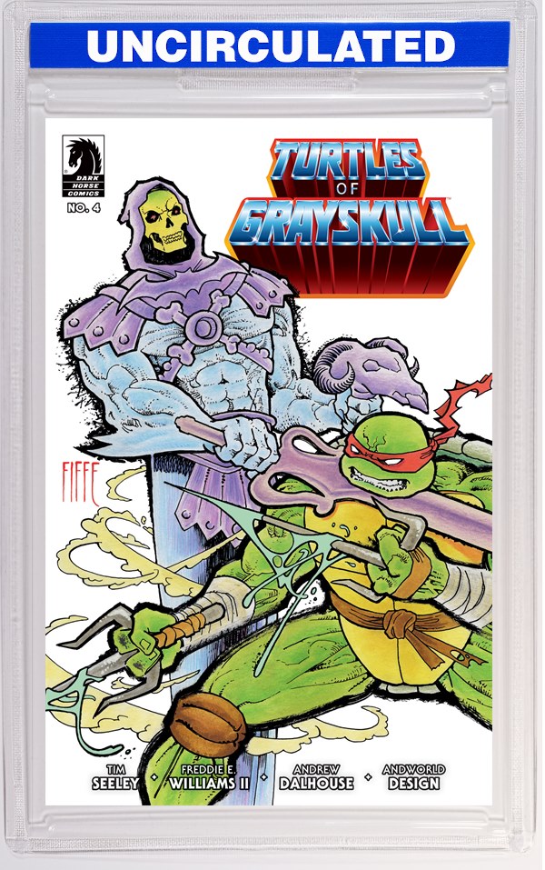 Masters Of The Universe/Teenage Mutant Ninja Turtles: Turtles Of Grayskull #4 (CVR B) (Michel Fiffe)