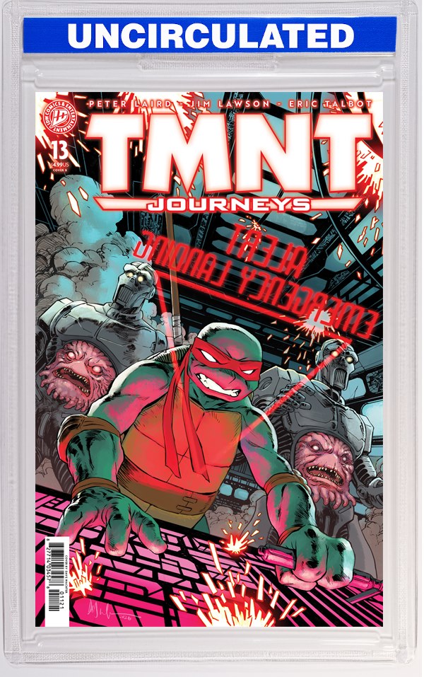 TMNT: Journeys #13 Variant B (Wachter)