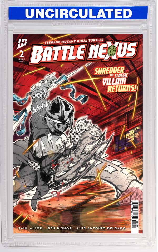 Teenage Mutant Ninja Turtles: Battle Nexus #2 Variant B (Ortiz)