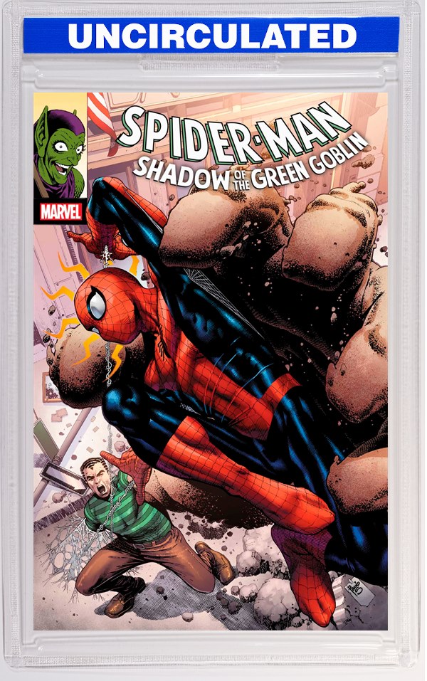 SPIDER-MAN: SHADOW OF THE GREEN GOBLIN #2