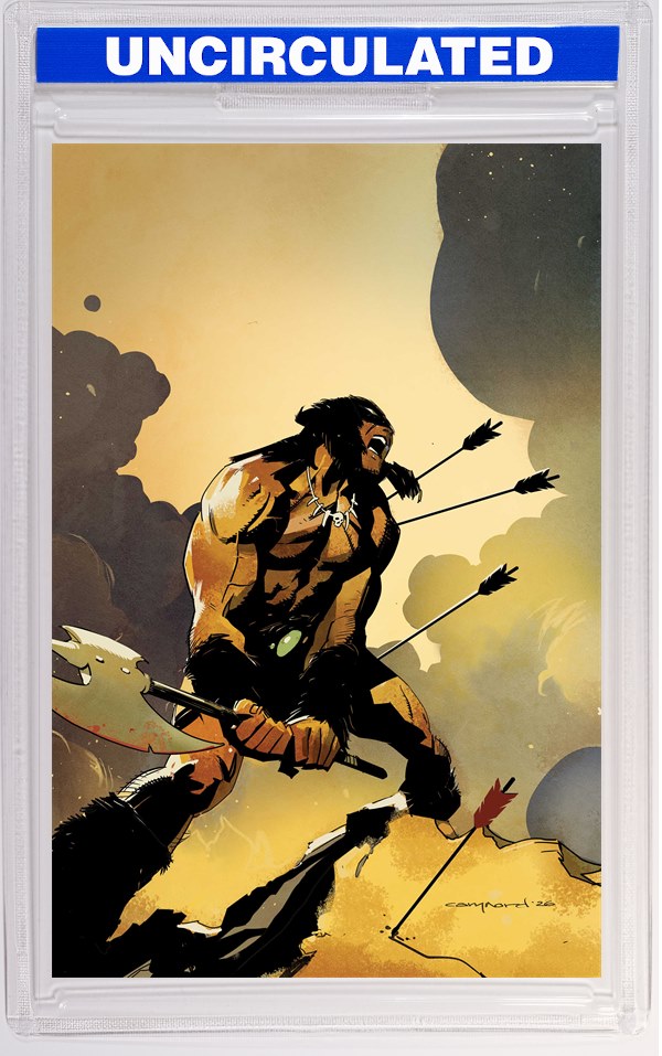 Fire And Ice Darkwolf #5 CVR H INC Cary Nord Virgin VAR