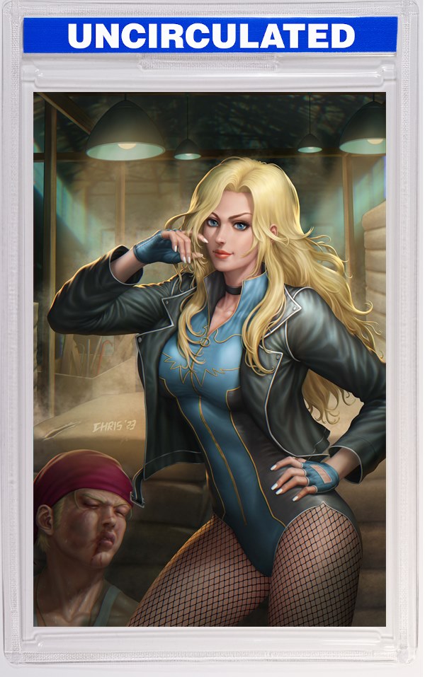 Black Canary Best Of The Best #5 (Of 6) CVR C INC Chris Ng Card Stock VAR