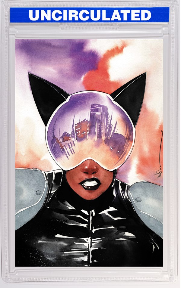 Absolute Catwoman #4 (Of 6) CVR C Dustin Nguyen Card Stock VAR