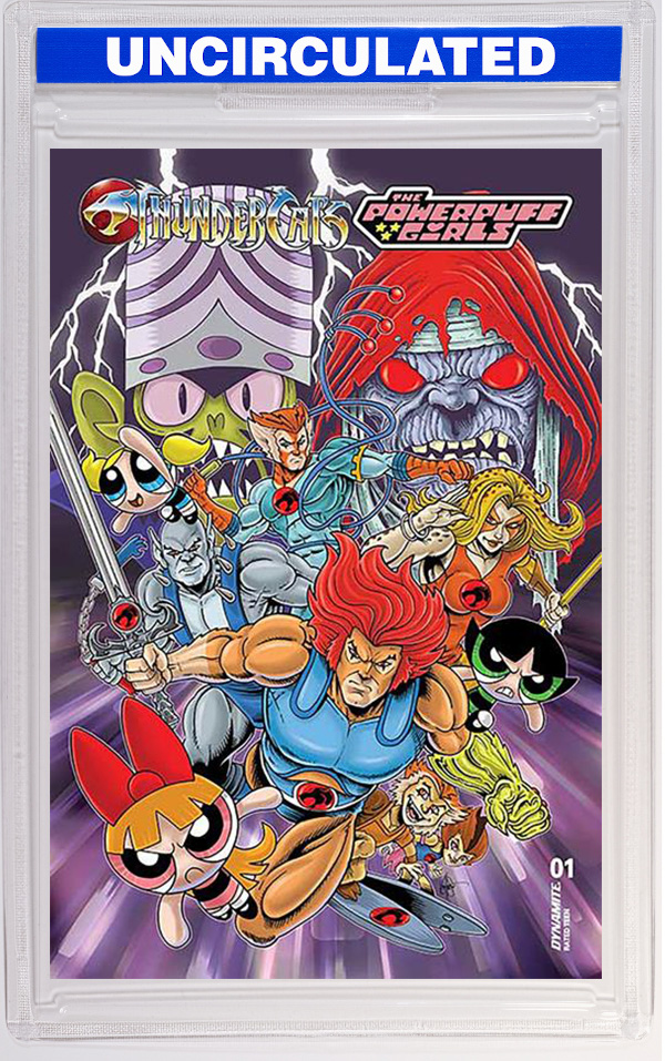 Thundercats Powerpuff Girls #1 CVR M Ken Haeser Original FOC Bonus VAR
