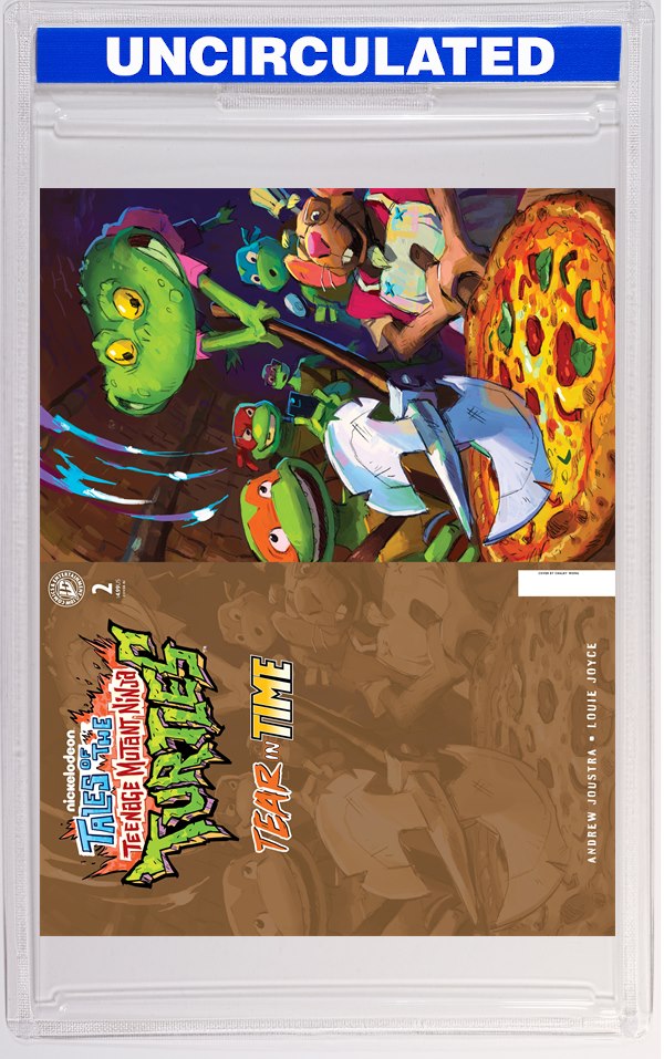 Tales Of The Teenage Mutant Ninja Turtles: Tear In Time #2 Variant RI (Chalky Wong Hobby Set Full 
