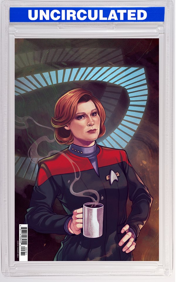 Star Trek: Voyager—Homecoming #3 Variant RI (Beals Full Art)