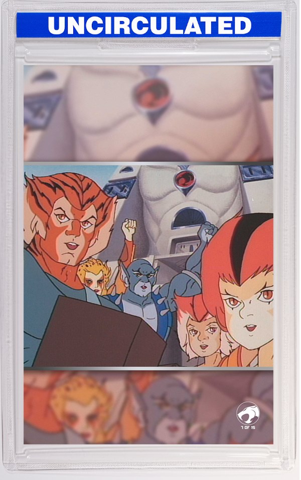 Thundercats X Silverhawks #3 CVR G INC Animation Art Virgin VAR
