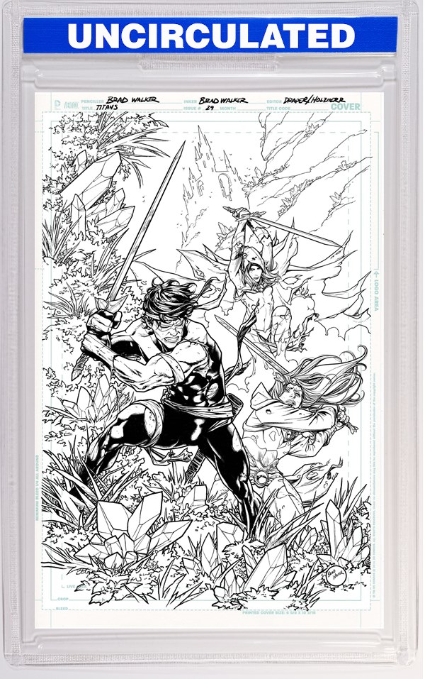 Titans #29 CVR B Brad Walker Card Stock VAR (DC K.O.)