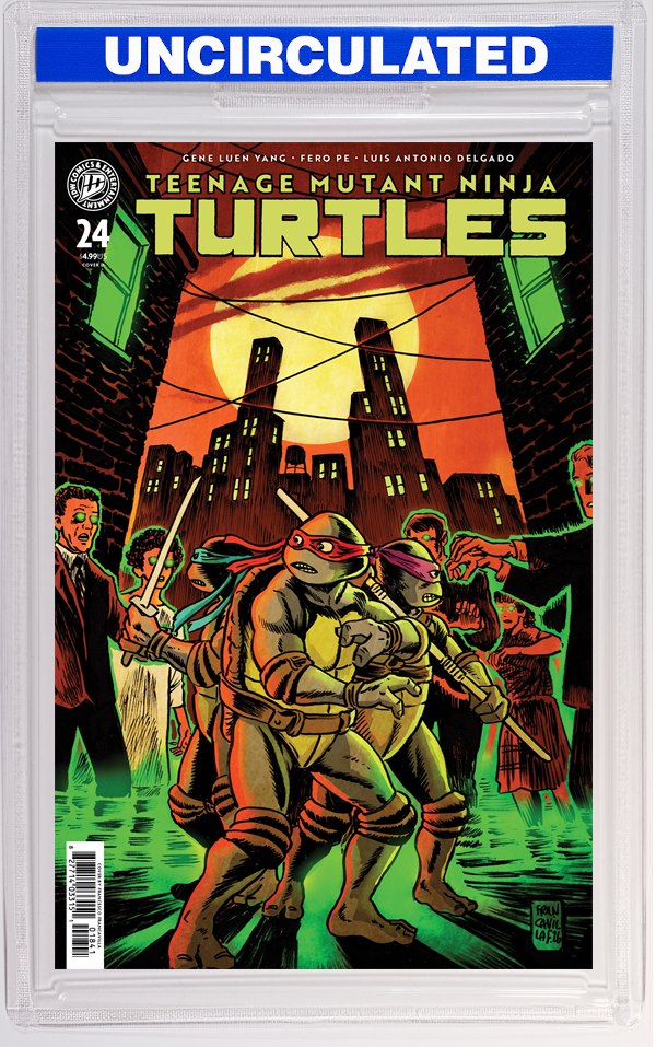 Teenage Mutant Ninja Turtles #24 Variant D (Francavilla)
