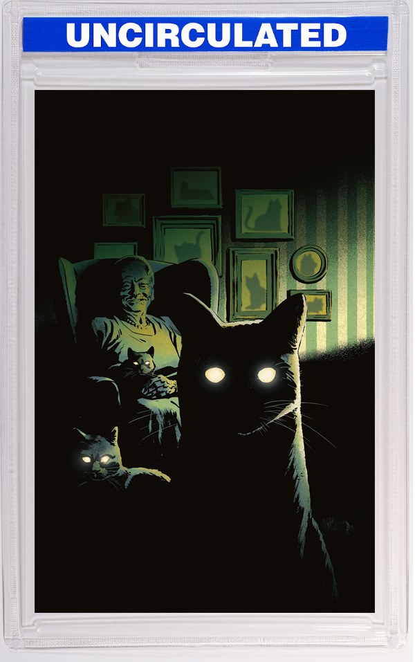 Stuff Of Nightmares: The Cat In The Coffin #1 C Homage Variant (Dressed, Gorham)