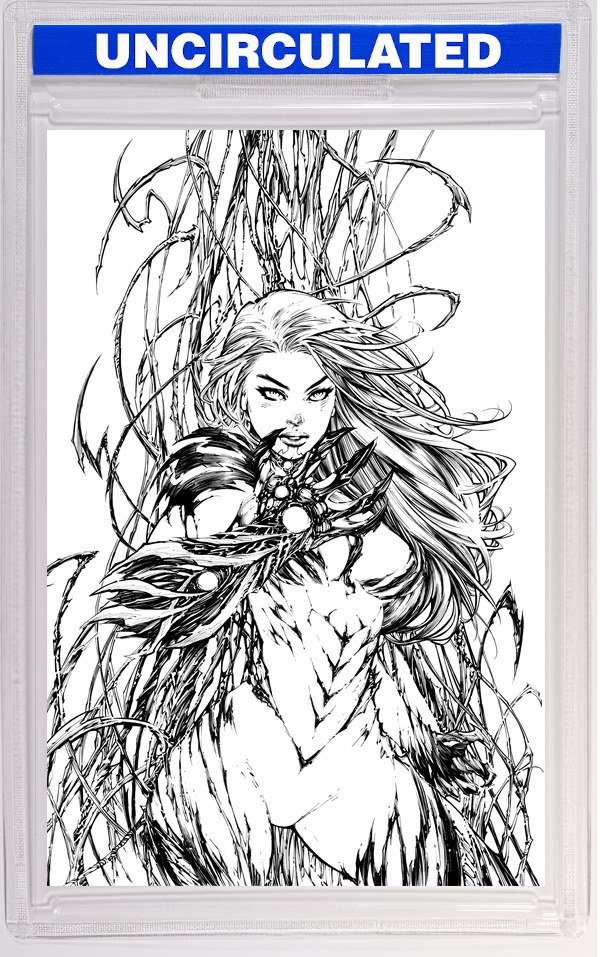 Witchblade #19 CVR D INC Ed Benes & Richard Friend B&W VAR (MR)