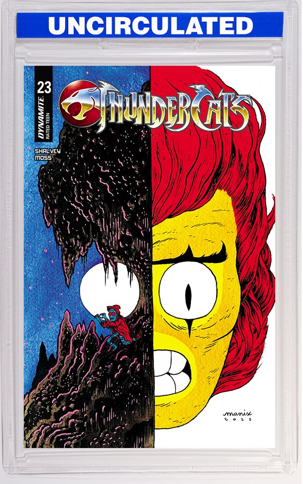 Thundercats #23 CVR E Manix VAR