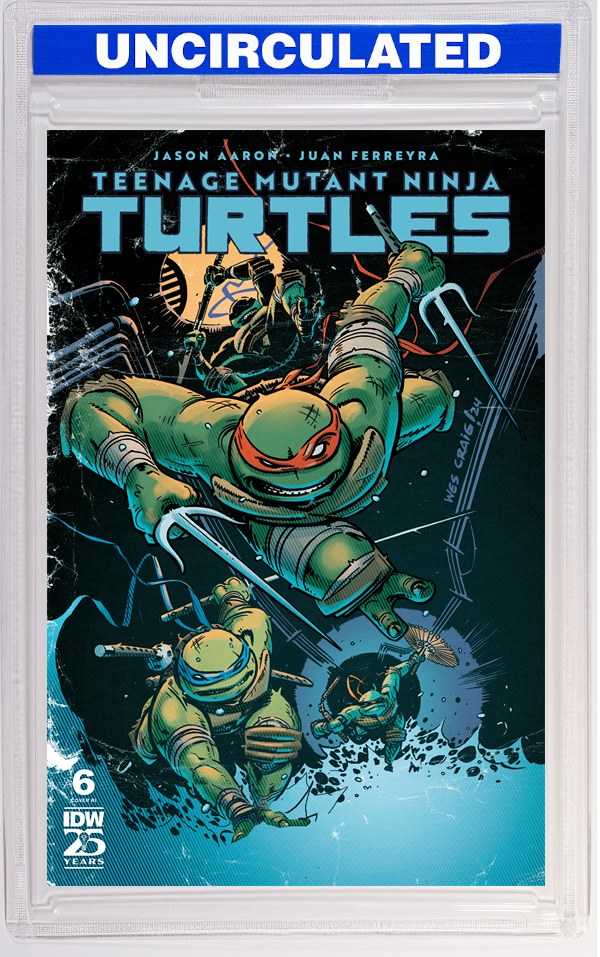 Teenage Mutant Ninja Turtles #6 Variant RI (Craig)