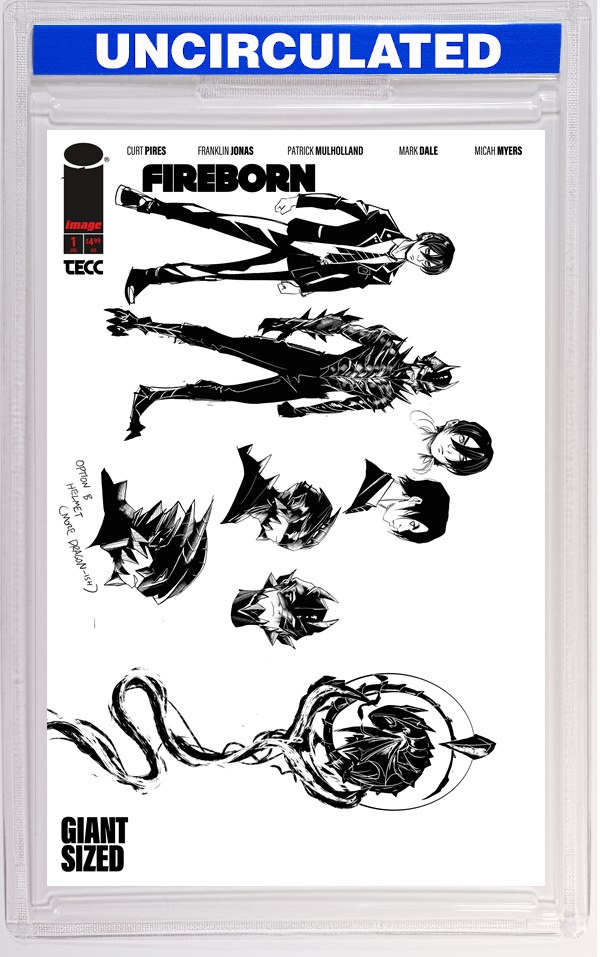 Fireborn #1 CVR F INC Patrick Mulholland Design VAR