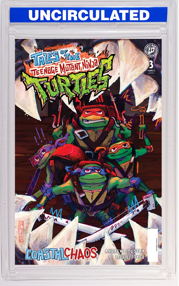 Tales Of The Teenage Mutant Ninja Turtles: Coastal Chaos #3 Variant B (Nerfalice)