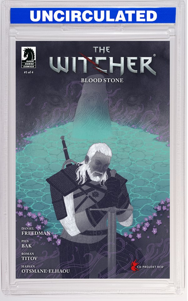 The Witcher: Blood Stone #1 (CVR D) (Patrycja Podkoscielny)