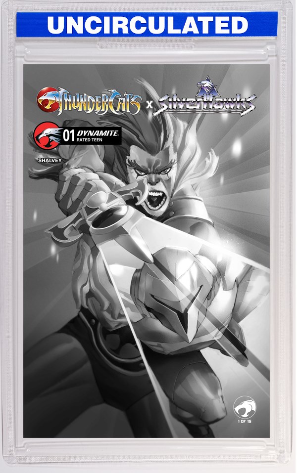 Thundercats X Silverhawks #1 CVR K INC Eric Canete B&W VAR