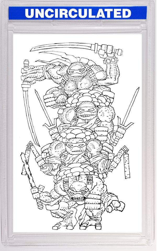Teenage Mutant Ninja Turtles #20: 300th Issue Special Variant RI (Miller Full Art B&W)