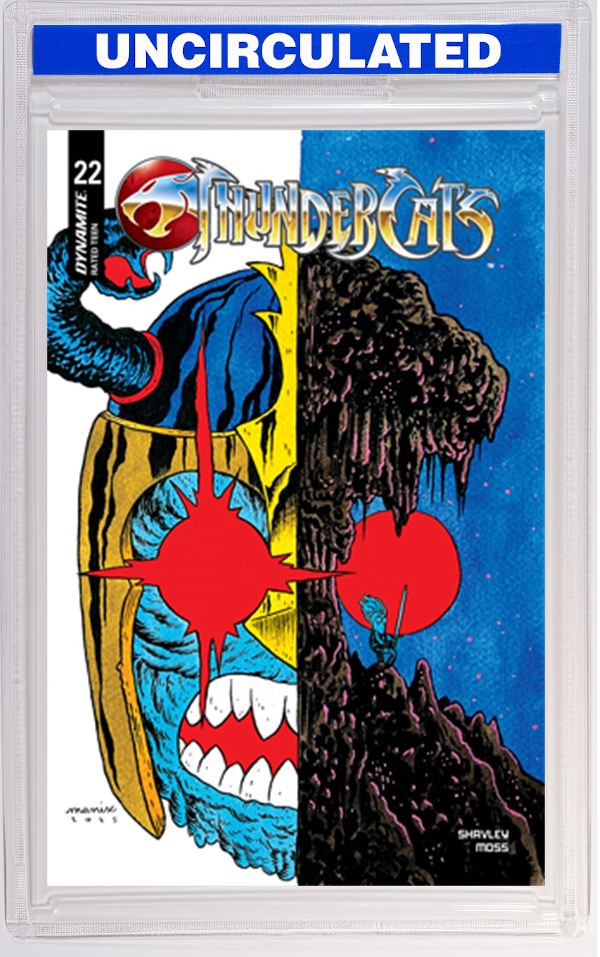 Thundercats #22 CVR E Manix VAR