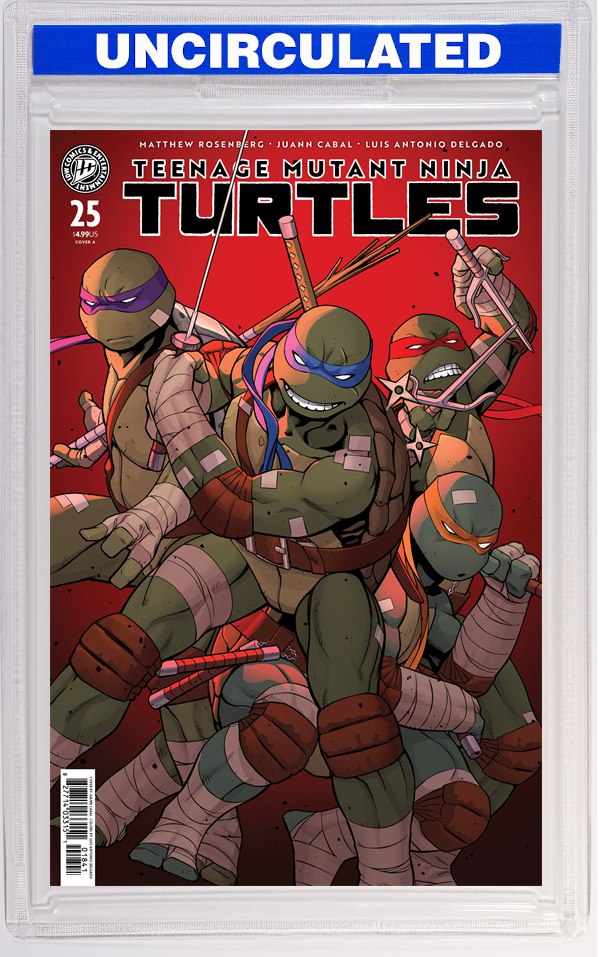 Teenage Mutant Ninja Turtles #25 Cover A (Cabal)