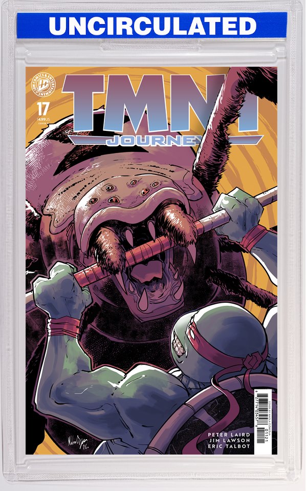 TMNT: Journeys #17 Variant B (Cizmesija)