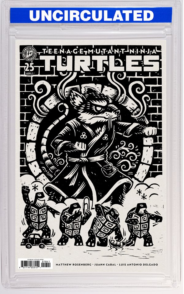 Teenage Mutant Ninja Turtles #25 Variant F (Attack Peter)