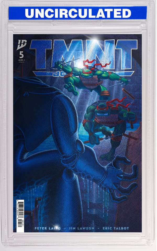 TMNT: Journeys #5 Variant RI Foil (Dooney & Lawson)