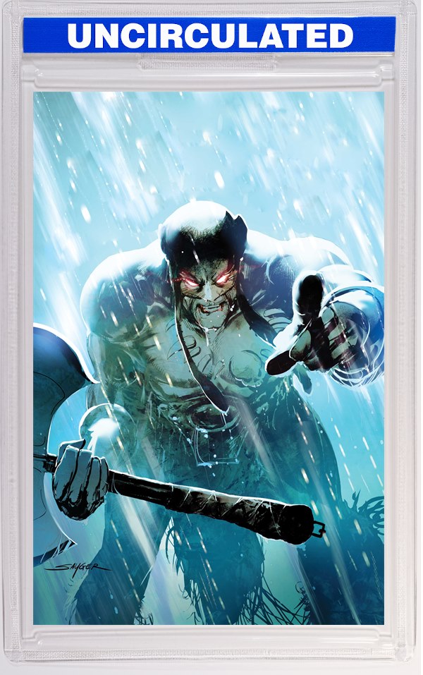 Fire And Ice Darkwolf #5 CVR I INC Stuart Sayger Virgin VAR