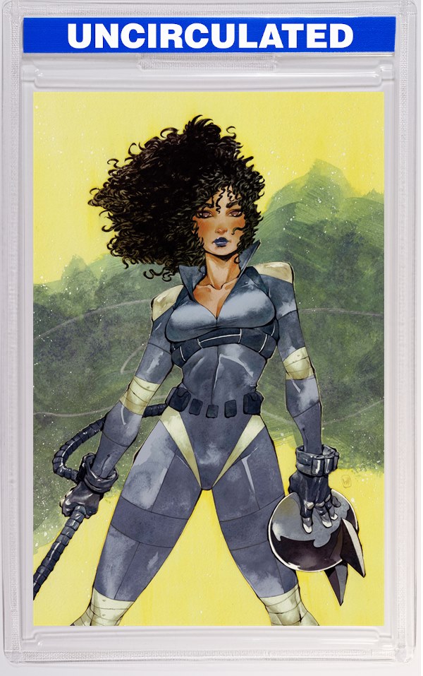 Absolute Catwoman #3 (Of 6) CVR D Chuma Hill Card Stock VAR