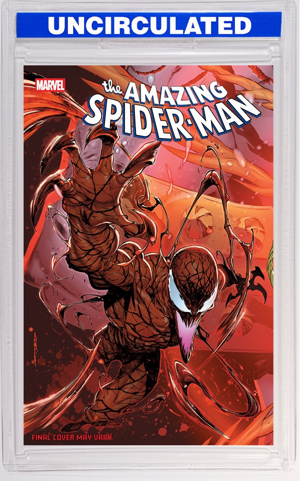 Amazing Spider-Man #24 Iban Coello 9-Part Connecting Variant [DS]