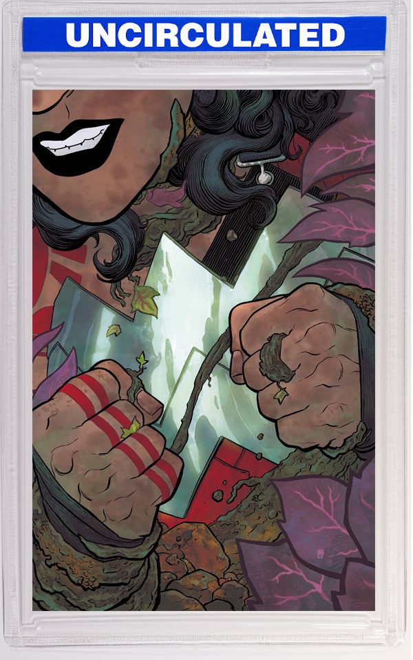 Absolute Wonder Woman #14 CVR A Hayden Sherman
