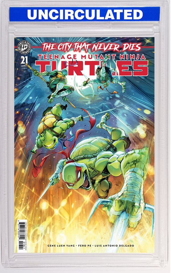 Teenage Mutant Ninja Turtles #21 Variant D (Coello)