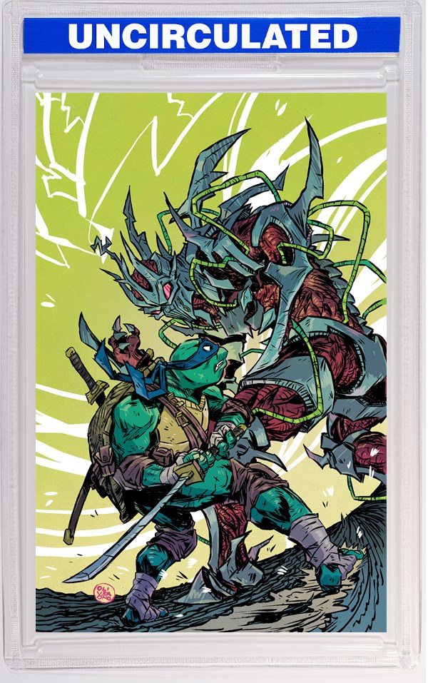 Mighty Morphin Power Rangers/Teenage Mutant Ninja Turtles III #5 D INCV (Full Art, Ono)