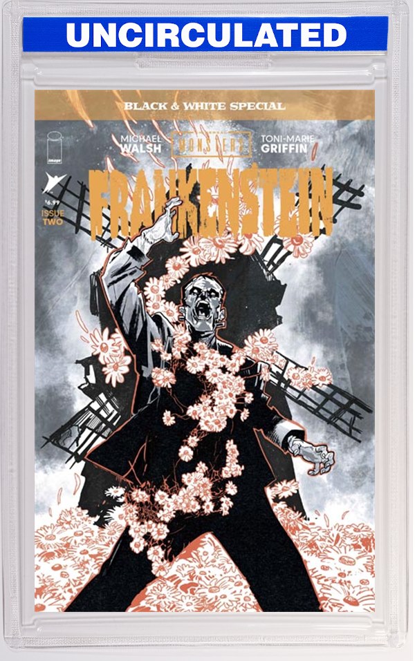 Universal Monsters Frankenstein B&W Special #2 (Of 2) CVR A Michael Walsh