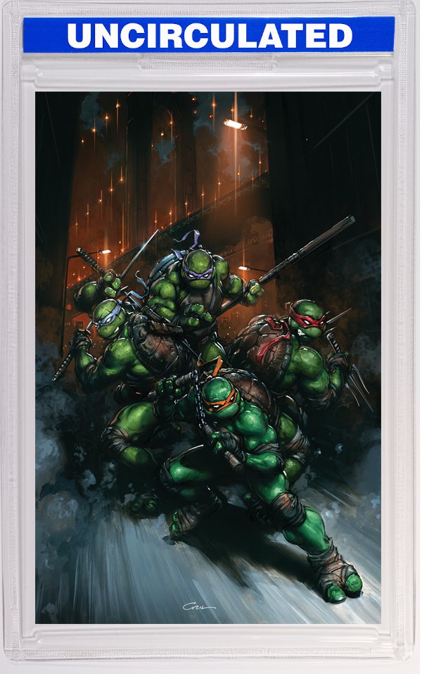Teenage Mutant Ninja Turtles #13 Variant RI (Crain Full Art)