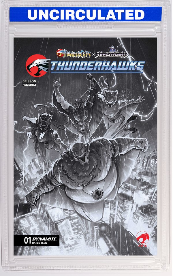 Thundercats X Silverhawks Thunderhawks #1 CVR N INC Alessandro Ranaldi B&W VAR