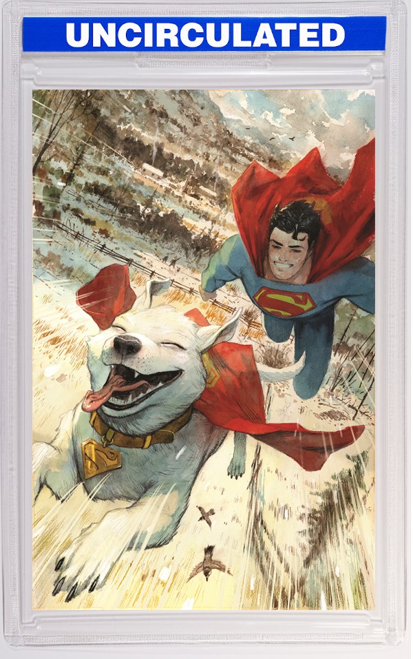 Krypto The Last Dog Of Krypton #3 (Of 5) CVR B Niko Henrichon Card Stock VAR