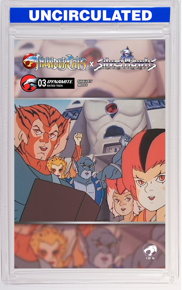 Thundercats X Silverhawks #3 CVR E Animation Art VAR