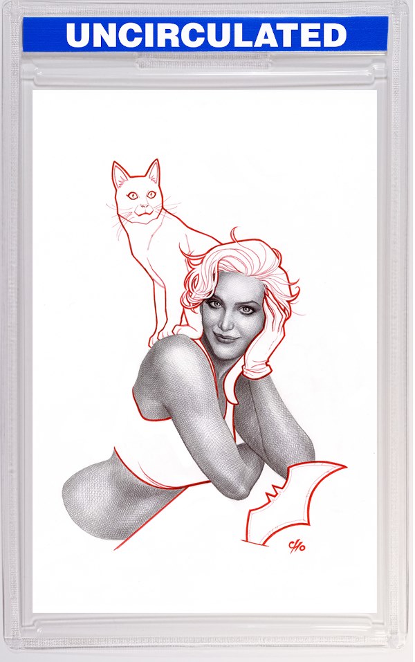 Catwoman #70 CVR B Frank Cho Card Stock VAR