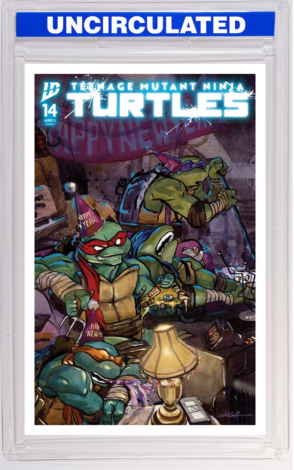 Teenage Mutant Ninja Turtles #14 Variant C (Cullum)
