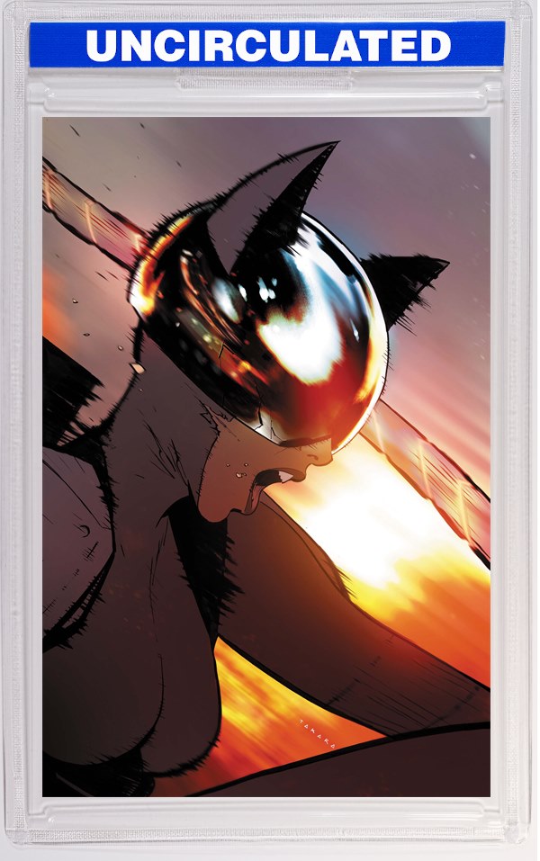Absolute Catwoman #4 (Of 6) CVR B Marcio Takara Card Stock VAR