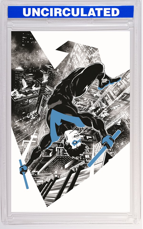 Nightwing #124 CVR E INC Amancay Nahuelpan Card Stock VAR